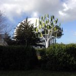 Arbre à vent (photo : Michaud LARIVIERE)