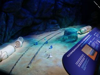 Différents câbles sous-marins à fibre optique