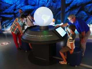 les câbles optiques ceinturent le monde