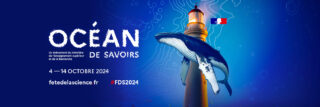 FDS24_RS_cover_X_1500x500
