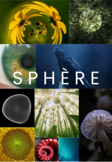 sphere wild immersion